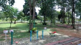 Tins Green Garden Foresttree, Ruang Terbuka Hijau yang Dikelola PT Timah untuk Mendukung Gaya Hidup Sehat. FOTO: Corporate Communication PT Timah Tbk