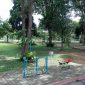 Tins Green Garden Foresttree, Ruang Terbuka Hijau yang Dikelola PT Timah untuk Mendukung Gaya Hidup Sehat. FOTO: Corporate Communication PT Timah Tbk