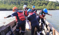 Jaga Ekosistem Pesisir dan Tingkatkan Ekonomi Masyarakat, PT Timah Kembali Restocking Ratusan Kepiting Bakau di Perairan Kundur