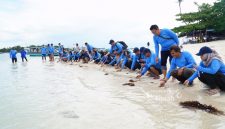 Dukung Pariwisata dan Ekosistem Laut, PT Timah Tbk Bersama AAI Sumbagsel Lepasliar Tukik Sisik di Pulau Kelayang . FOTO: Cororate Communication PT TImah TBK