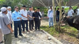 Idul Adha 1446 H, Dinas PUPR Karimun Sembelih 3 Ekor Sapi dan 2 Kambing. FOTO: ricky/kepriheadline.id