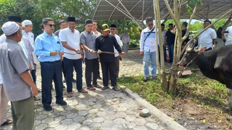 Idul Adha 1446 H, Dinas PUPR Karimun Sembelih 3 Ekor Sapi dan 2 Kambing. FOTO: ricky/kepriheadline.id
