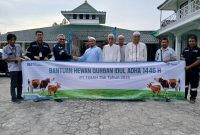 Pererat Silaturahmi, PT Timah Tebar Ratusan Hewan Kurban di Empat Provinsi. FOTO: Corporate Communication PT Timah Tbk