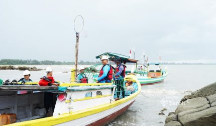 Laut Lestari, Bisnis Berkelanjutan: Ini Strategi PT Timah Jaga Ekosistem Laut dengan Aritificial Reef