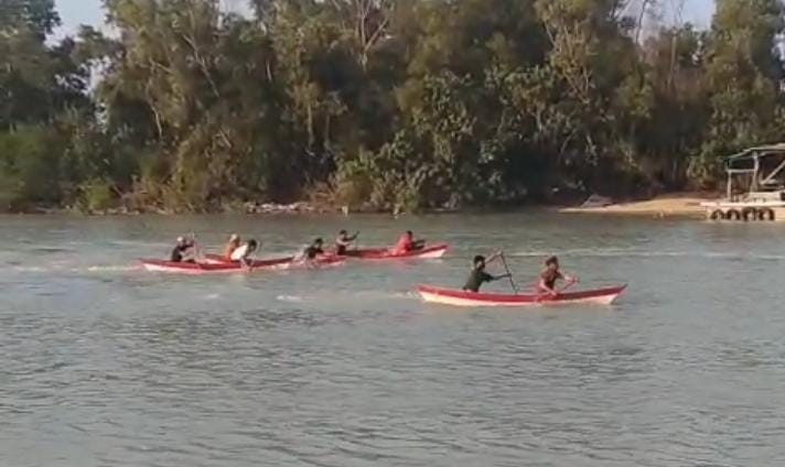 Lestarikan Lingkungan dan Budaya Masyarakar Pesisir, PT Timah Dukung Lomba Dayung dan Penanaman Mangrove Bersama HNSI Bangka 