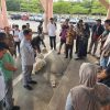 Usai Kebakaran di Coastal Area, Bupati Iskandarsyah Tinjau Lokasi dan Serahkan Bantuan