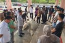 Usai Kebakaran di Coastal Area, Bupati Iskandarsyah Tinjau Lokasi dan Serahkan Bantuan.