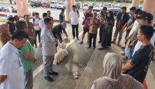 Usai Kebakaran di Coastal Area, Bupati Iskandarsyah Tinjau Lokasi dan Serahkan Bantuan.