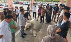 Usai Kebakaran di Coastal Area, Bupati Iskandarsyah Tinjau Lokasi dan Serahkan Bantuan