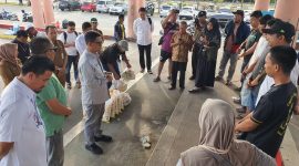 Usai Kebakaran di Coastal Area, Bupati Iskandarsyah Tinjau Lokasi dan Serahkan Bantuan.