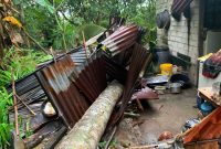 Dua Rumah di Karimun Tertimpa Pohon, Seorang Warga Alami Patah Tulang