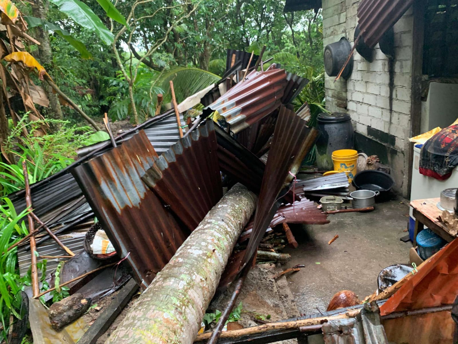 Dua Rumah di Karimun Tertimpa Pohon, Seorang Warga Alami Patah Tulang