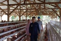 Bupati Karimun Resmikan Peternakan Ayam Petelur Bumdes Pongkar Jaya.