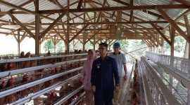 Bupati Karimun Resmikan Peternakan Ayam Petelur Bumdes Pongkar Jaya.