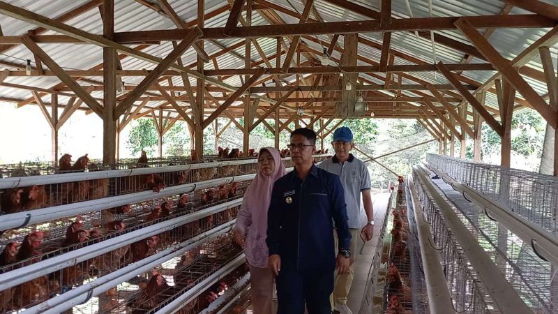 Bupati Karimun Resmikan Peternakan Ayam Petelur Bumdes Pongkar Jaya.