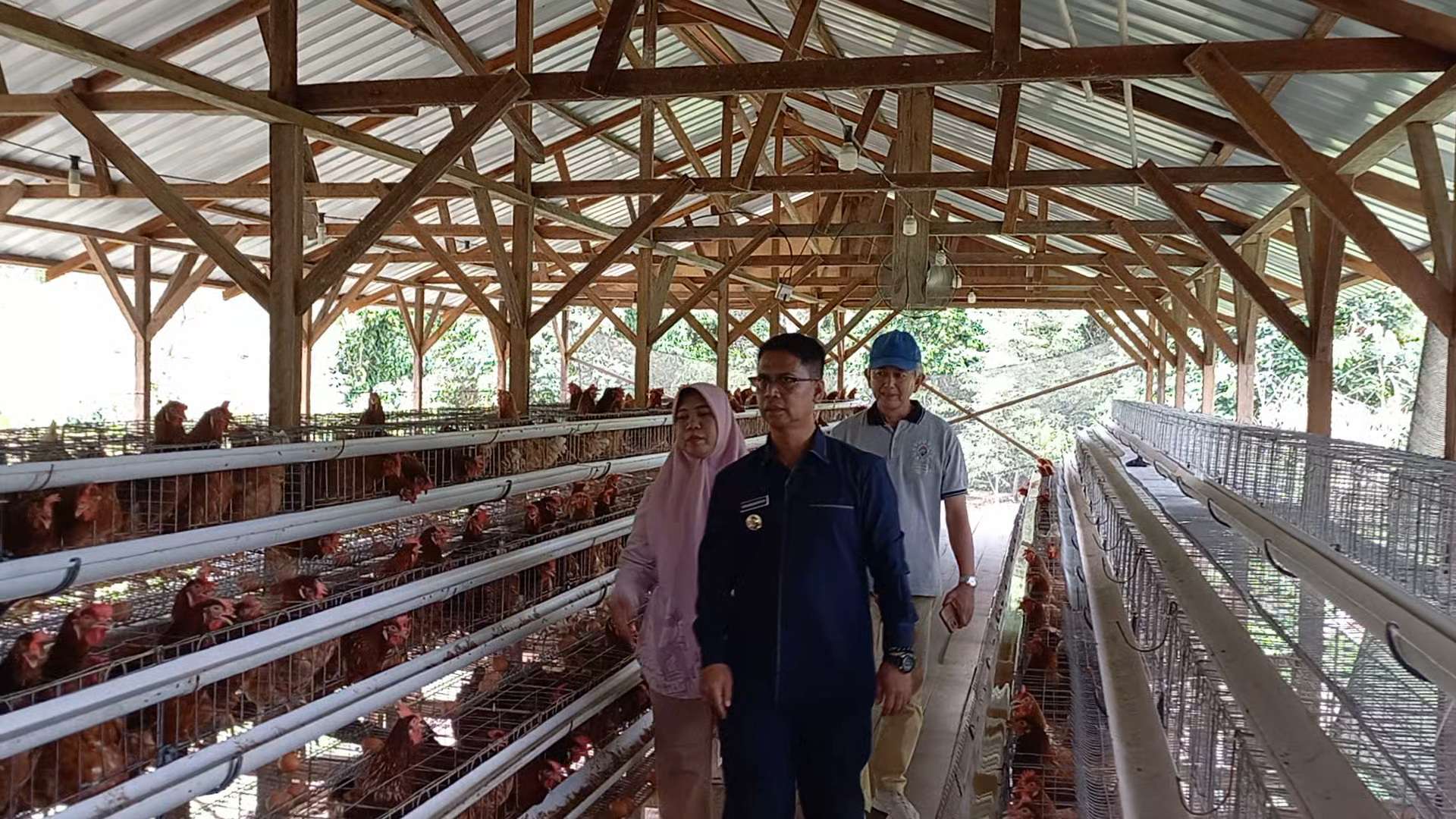 Bupati Karimun Resmikan Peternakan Ayam Petelur Bumdes Pongkar Jaya