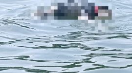 Mayat Pria Tanpa Identitas Ditemukan Mengapung di Perairan Sugie Besar, Karimun