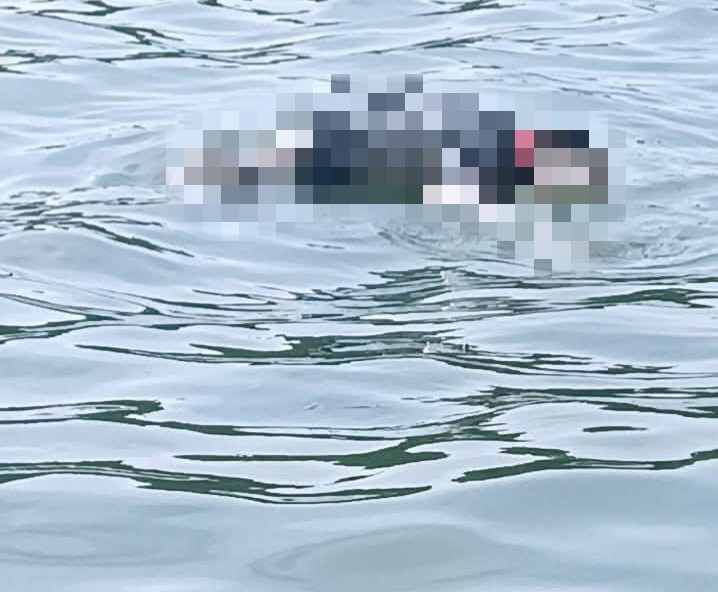 Mayat Pria Tanpa Identitas Ditemukan Mengapung di Perairan Sugie Besar, Karimun