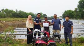 Pasca Dihujani Kritik dan Lemparan Batu, PT Timah Terus Tebar Manfaat untuk Petani Lokal