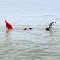 Kapal Bermuatan Semen Tenggelam di Perairan Pulau Moro, Satu ABK Masih Dicari. FOTO: Dokumen SAR