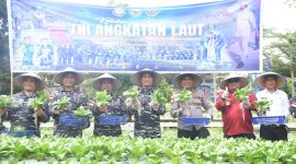 Lanal Tanjung Balai Karimun Gelar Panen Raya Ketahanan Pangan TNI AL 2025 Secara Serentak.