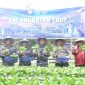 Lanal Tanjung Balai Karimun Gelar Panen Raya Ketahanan Pangan TNI AL 2025 Secara Serentak.
