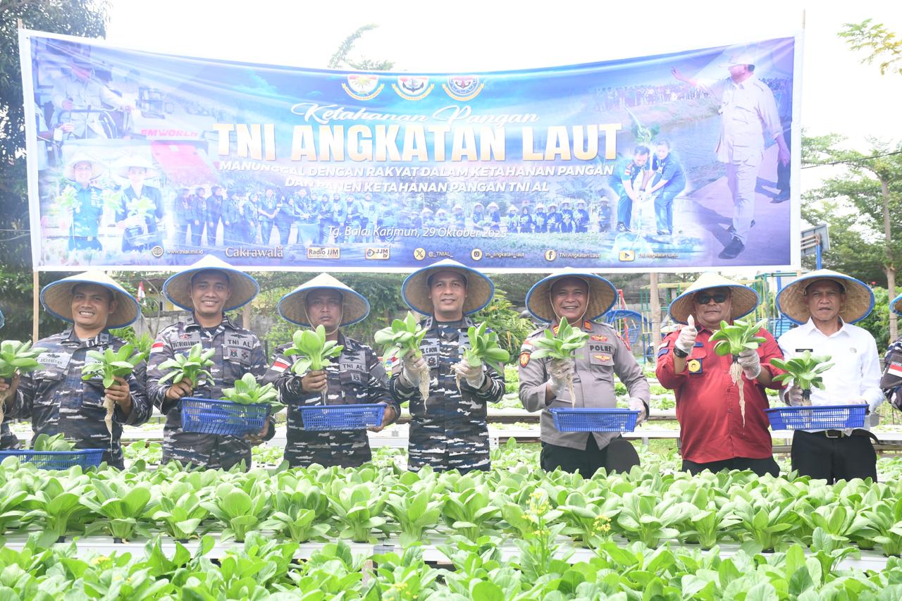 Lanal Tanjung Balai Karimun Gelar Panen Raya Ketahanan Pangan TNI AL 2025 Secara Serentak