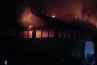 BreakingNews! Kebakaran Hanguskan Gedung Mesin PLN Desa Parit, Listrik Padam Total