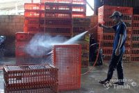 Dukung UMKM Makin Berkembang, PT TIMAH Tbk Serahkan Mesin Steam untuk Usaha Ayam Potong di Pangkalpinang