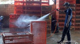 Dukung UMKM Makin Berkembang, PT TIMAH Tbk Serahkan Mesin Steam untuk Usaha Ayam Potong di Pangkalpinang
