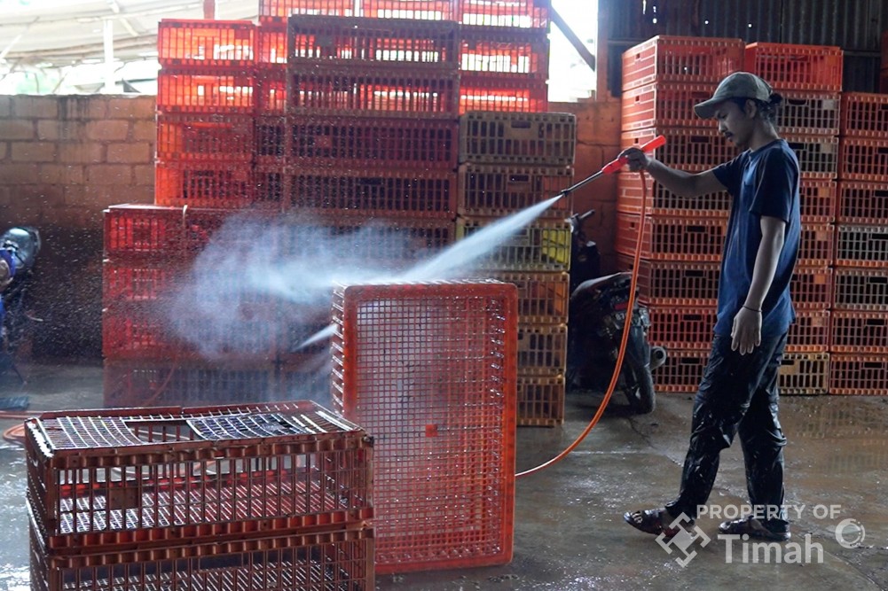 Dukung UMKM Makin Berkembang, PT TIMAH Tbk Serahkan Mesin Steam untuk Usaha Ayam Potong di Pangkalpinang