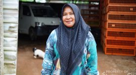 Bangkit Dari Keterpurukan, Rumah Ayam Potong Afriani Mitra Binaan PT TIMAH Tbk Pelayanan Tepat Waktu dan Cepat 
