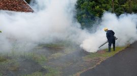Cegah DBD di Wilayah Operasional Perusahaan, PT TIMAH Tbk Lakukan Fogging Hingga Sosialisasikan 3M 