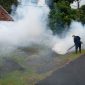 Cegah DBD di Wilayah Operasional Perusahaan, PT TIMAH Tbk Lakukan Fogging Hingga Sosialisasikan 3M 