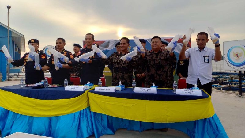 Bea Cukai Kepri Gagalkan Penyelundupan 281 Ribu Benih Lobster di Perairan Bintan