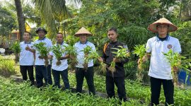 Panen Berkah dari Program SAE, Rutan Karimun Hasilkan 180 Kilogram Kangkung
