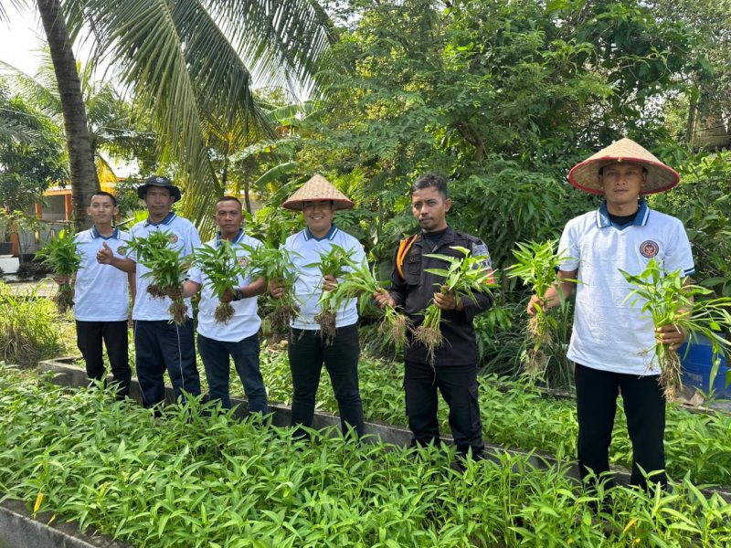 Panen Berkah dari Program SAE, Rutan Karimun Hasilkan 180 Kilogram Kangkung