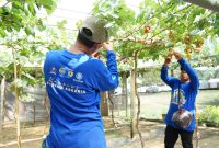 Bukan Hanya bagi Petani, Kampung Reforma Agraria Desa Duyu Juga Bantu Ekonomi Warga Sekitar