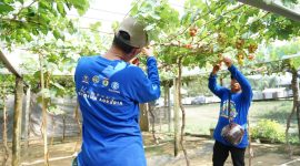 Bukan Hanya bagi Petani, Kampung Reforma Agraria Desa Duyu Juga Bantu Ekonomi Warga Sekitar