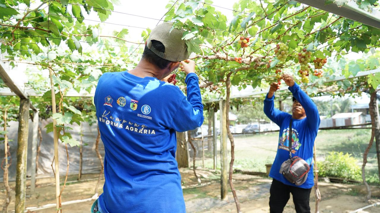Bukan Hanya bagi Petani, Kampung Reforma Agraria Desa Duyu Juga Bantu Ekonomi Warga Sekitar