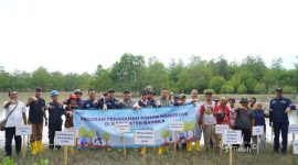 Komitmen Pelestarian Ekosistem Pesisir, PT TIMAH Tbk Tanam 5000 Bibit Mangrove di Pantai Takari