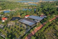 Dari Reklamasi hingga Mangrove, PT TIMAH Tbk Dorong Pemulihan Lingkungan Berkelanjutan