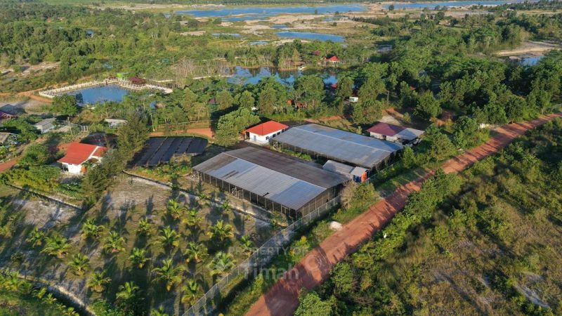 Dari Reklamasi hingga Mangrove, PT TIMAH Tbk Dorong Pemulihan Lingkungan Berkelanjutan
