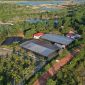Dari Reklamasi hingga Mangrove, PT TIMAH Tbk Dorong Pemulihan Lingkungan Berkelanjutan