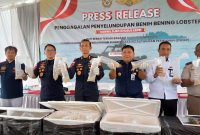 Bea Cukai Kepri Gagalkan Penyelundupan 129.965 Benih Bening Lobster di Perairan Batam