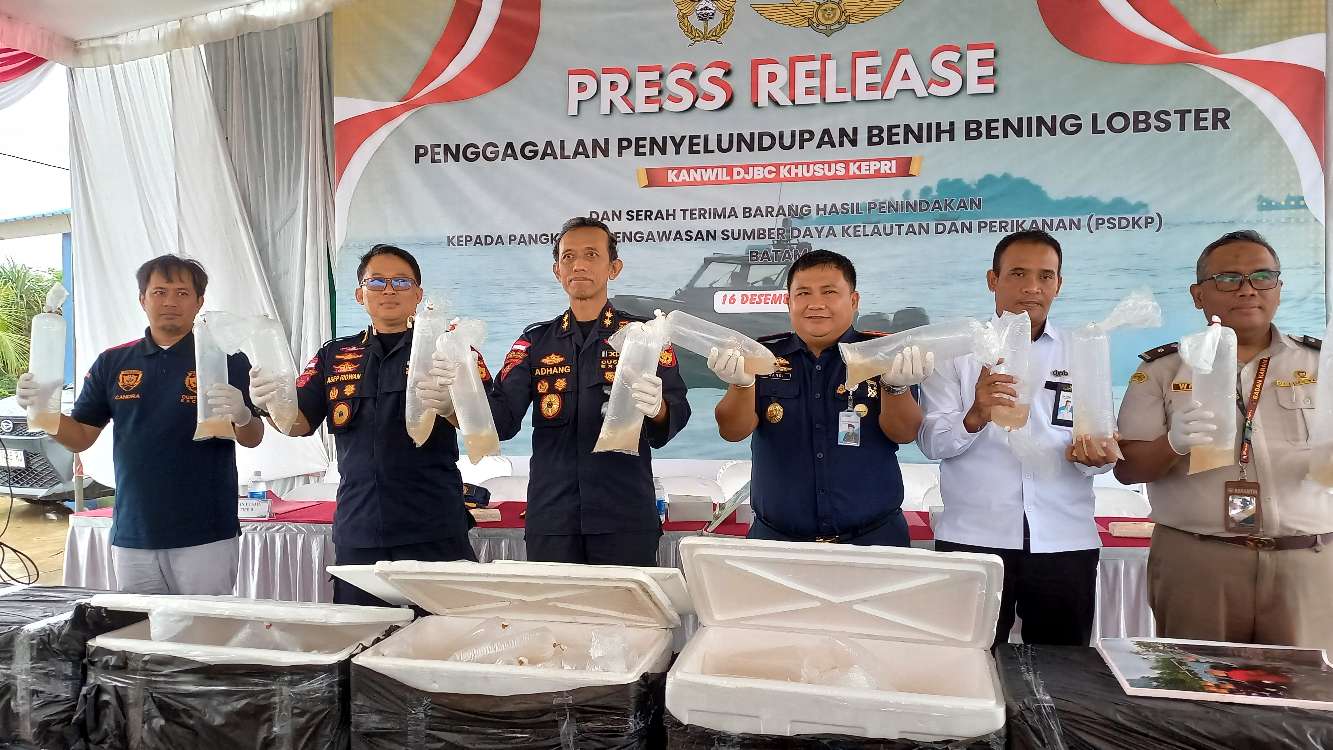 Bea Cukai Kepri Gagalkan Penyelundupan 129.965 Benih Bening Lobster di Perairan Batam