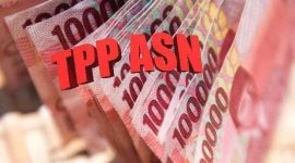 Ilustrasi TPP ASN. FOTO: Google.com