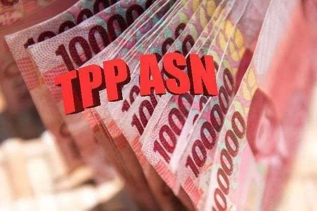 Ilustrasi TPP ASN. FOTO: Google.com