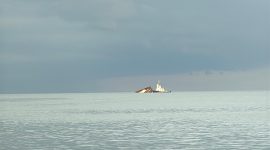 Penampakan Tongkang Kandas di depan Pantai Ketam, Desa Pongkar. FOTO: ricky/kepriheadline.id