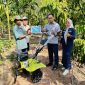 Perkuat Pertanian Lokal, PT TIMAH Serahkan Alat Olah Lahan kepada Kelompok Tani Kundur. FOTO: Corporate Communication PT Timah Tbk